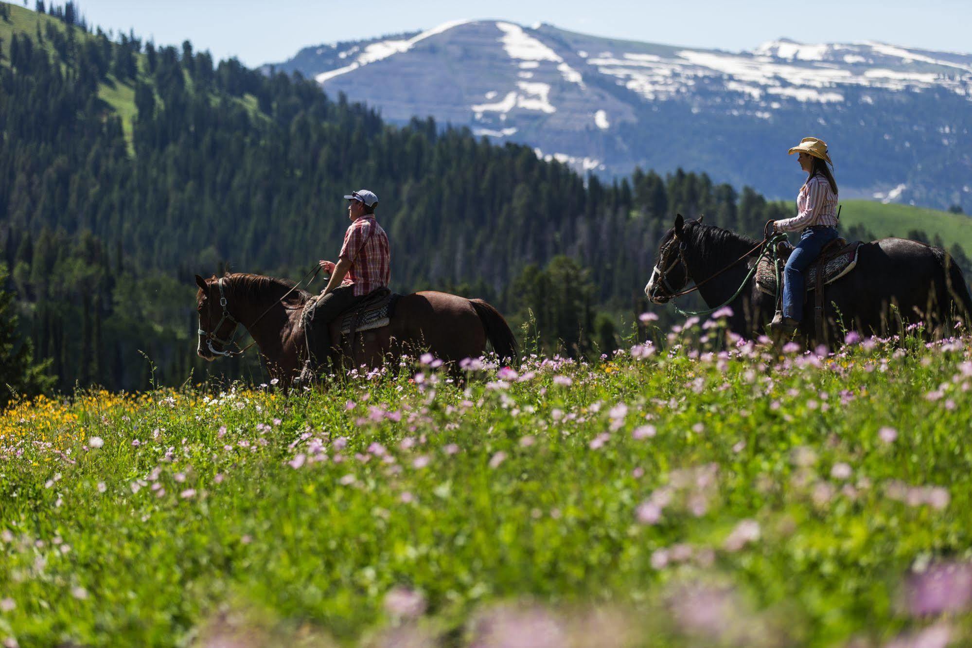 Sioux Lodge By Grand Targhee Resort Alta Buitenkant foto